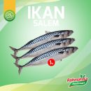 Ikan Salem Segar / Ikan Salem IQF Premium Fresh 1 Kg