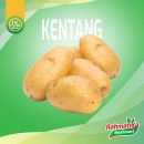 Kentang Dieng Besar 1 Kg