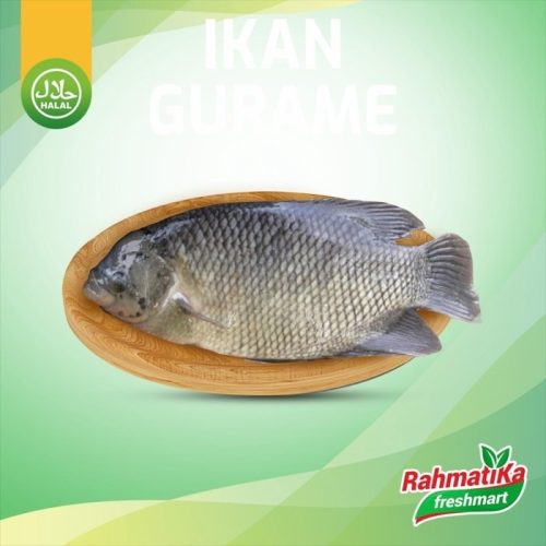 Ikan Gurame Segar 1 Kg